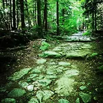Διαμέρισμα Woodstone Karpacz