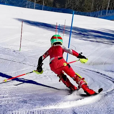 Woodstone 卡尔帕奇