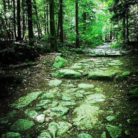 Apartament Woodstone Karpacz