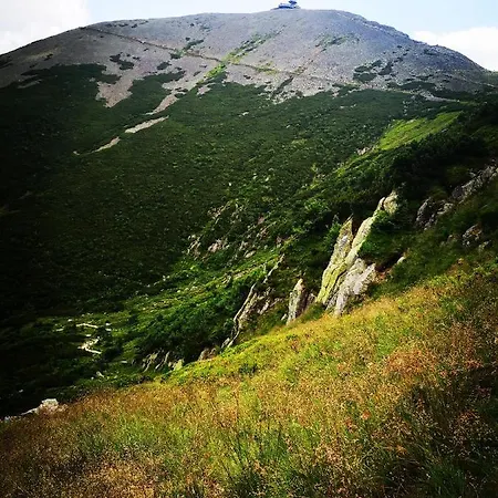 Woodstone Apartament *