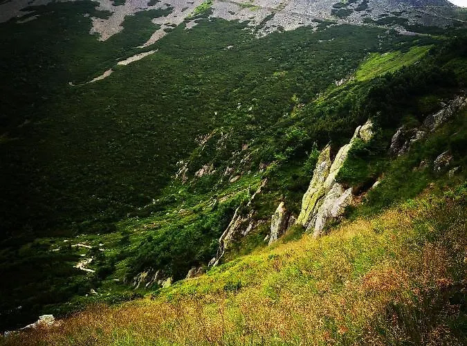 Woodstone Lejlighed *